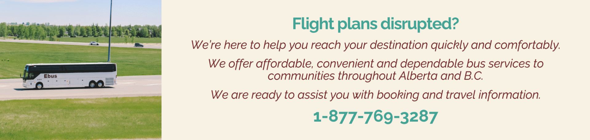 Website Passenger Notifications (1)