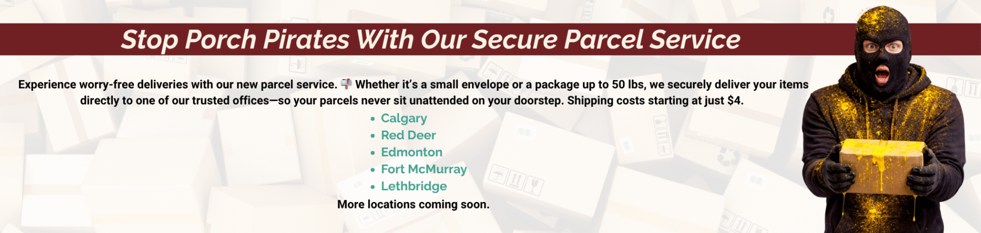 Website Passenger Notifications (47)